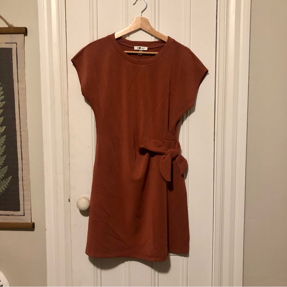 Burnt orange dress